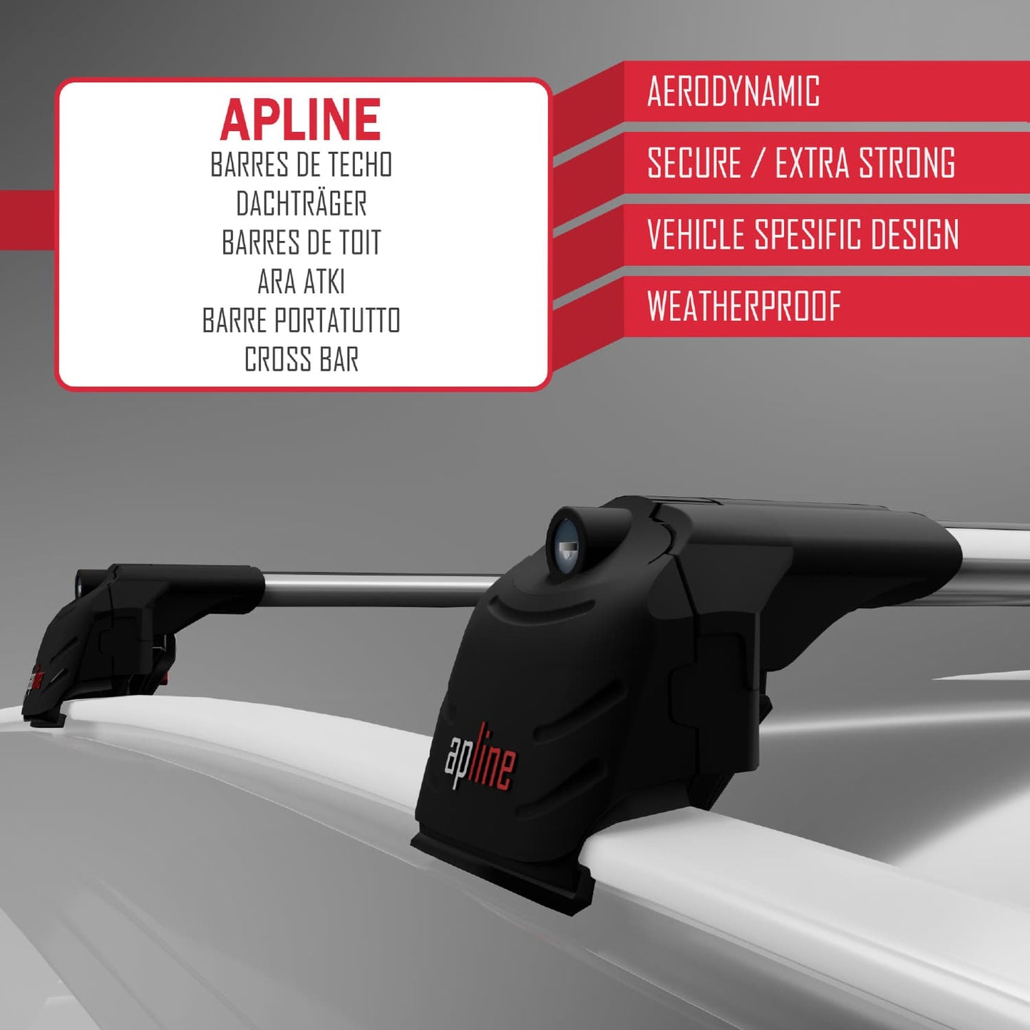 Kompatibel mit BMW X6 (G06) 2020-2025 ACE-2 Dachträger Autodachträger Graues Aluminium 2 Stangen